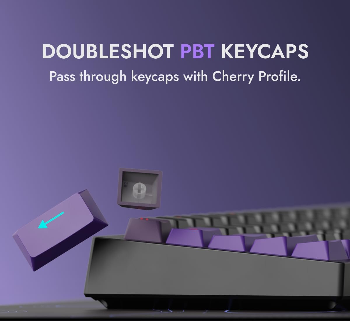 Swarm 65 Wireless Mechanical Gaming Keyboard 65% Gasket Mounted, Pre-Lubed Switches, 5-Layer Sound Dampening, RGB, Hot-Swap PCB, Tri-Mode – Windows & macOS (Starling Linear) - Image 6