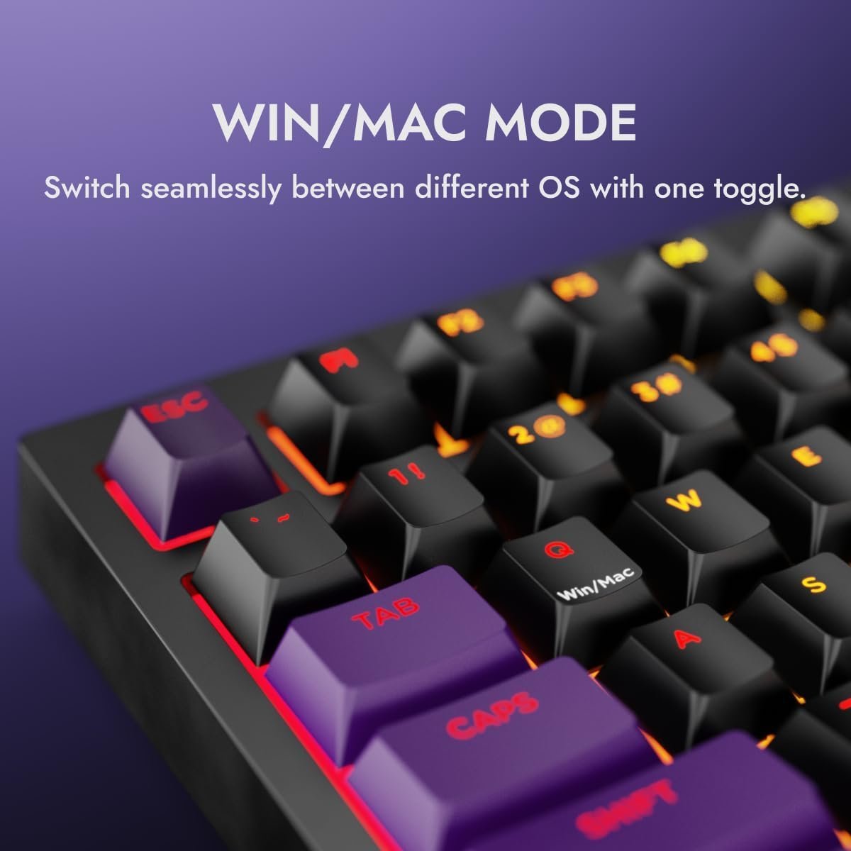 Swarm 75% Wireless Mechanical Keyboard with Pass-Through Keycaps, Advanced Web Software, Pre-lubed Switches, 5-pin Hot Swap PCB and 5 Layers Sound Absorption, Software Support - Image 9