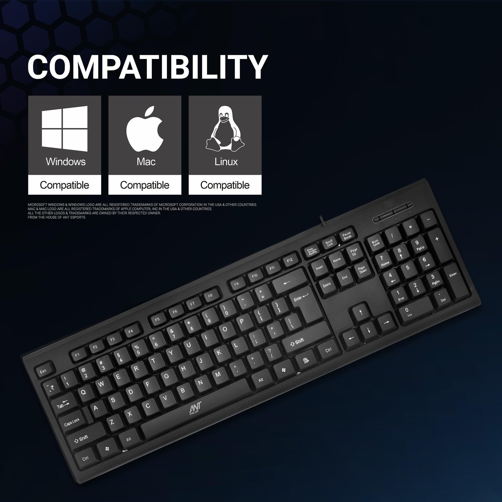 FKBRI01 Ultra-Slim Compact USB Wired Keyboard for Mac and PC,Windows 10/8 / 7 / Vista/XP, Spill-Resistant Silent Keyboard – Membrane Water-Resistant Coating 10 Million Keystrokes (Black) - Image 3